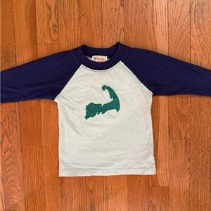 Simple Kids Long Sleeve Tee with Navy and Green Cape Cod Design